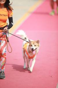 BIB: 
                            <button type="button" onclick="openModal(8234605)" class="btn btn-primary btn-sm float-right btn-popup" data-toggle="modal" data-target=".modal-high-quality">
                        <i class="fas fa-shopping-cart"></i> Add to Cart
                    </button>
                                            <button type="button" onclick="isThisMe(8234605, true)" class="btn btn-success btn-sm float-right btn-popup btn-isme hidden" data-toggle="tooltip" data-placement="bottom" title="นี่คือรูปของคุณใช่ไหม คลิกที่นี่เพื่อเอาเข้าอัลบั้ม">
                        <i class="fas fa-plus"></i> Add to album
                    </button>
                    <button type="button" onclick="isThisMe(8234605, false)" class="btn btn-warning btn-sm float-right btn-popup btn-isnotme hidden">
                        <i class="fas fa-ban"></i> Remove from album
                    </button>