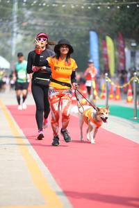 BIB: 
                            <button type="button" onclick="openModal(7360884)" class="btn btn-primary btn-sm float-right btn-popup" data-toggle="modal" data-target=".modal-high-quality">
                        <i class="fas fa-shopping-cart"></i> Add to Cart
                    </button>
                                            <button type="button" onclick="isThisMe(7360884, true)" class="btn btn-success btn-sm float-right btn-popup btn-isme hidden" data-toggle="tooltip" data-placement="bottom" title="นี่คือรูปของคุณใช่ไหม คลิกที่นี่เพื่อเอาเข้าอัลบั้ม">
                        <i class="fas fa-plus"></i> Add to album
                    </button>
                    <button type="button" onclick="isThisMe(7360884, false)" class="btn btn-warning btn-sm float-right btn-popup btn-isnotme hidden">
                        <i class="fas fa-ban"></i> Remove from album
                    </button>