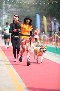 BIB: 
                            <button type="button" onclick="openModal(7360973)" class="btn btn-primary btn-sm float-right btn-popup" data-toggle="modal" data-target=".modal-high-quality">
                        <i class="fas fa-shopping-cart"></i> Add to Cart
                    </button>
                                            <button type="button" onclick="isThisMe(7360973, true)" class="btn btn-success btn-sm float-right btn-popup btn-isme hidden" data-toggle="tooltip" data-placement="bottom" title="นี่คือรูปของคุณใช่ไหม คลิกที่นี่เพื่อเอาเข้าอัลบั้ม">
                        <i class="fas fa-plus"></i> Add to album
                    </button>
                    <button type="button" onclick="isThisMe(7360973, false)" class="btn btn-warning btn-sm float-right btn-popup btn-isnotme hidden">
                        <i class="fas fa-ban"></i> Remove from album
                    </button>