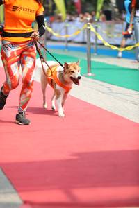 BIB: 
                            <button type="button" onclick="openModal(7360843)" class="btn btn-primary btn-sm float-right btn-popup" data-toggle="modal" data-target=".modal-high-quality">
                        <i class="fas fa-shopping-cart"></i> Add to Cart
                    </button>
                                            <button type="button" onclick="isThisMe(7360843, true)" class="btn btn-success btn-sm float-right btn-popup btn-isme hidden" data-toggle="tooltip" data-placement="bottom" title="นี่คือรูปของคุณใช่ไหม คลิกที่นี่เพื่อเอาเข้าอัลบั้ม">
                        <i class="fas fa-plus"></i> Add to album
                    </button>
                    <button type="button" onclick="isThisMe(7360843, false)" class="btn btn-warning btn-sm float-right btn-popup btn-isnotme hidden">
                        <i class="fas fa-ban"></i> Remove from album
                    </button>