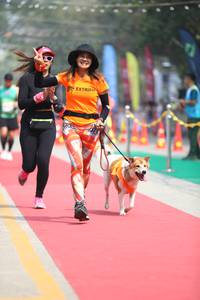 BIB: 
                            <button type="button" onclick="openModal(7360995)" class="btn btn-primary btn-sm float-right btn-popup" data-toggle="modal" data-target=".modal-high-quality">
                        <i class="fas fa-shopping-cart"></i> Add to Cart
                    </button>
                                            <button type="button" onclick="isThisMe(7360995, true)" class="btn btn-success btn-sm float-right btn-popup btn-isme hidden" data-toggle="tooltip" data-placement="bottom" title="นี่คือรูปของคุณใช่ไหม คลิกที่นี่เพื่อเอาเข้าอัลบั้ม">
                        <i class="fas fa-plus"></i> Add to album
                    </button>
                    <button type="button" onclick="isThisMe(7360995, false)" class="btn btn-warning btn-sm float-right btn-popup btn-isnotme hidden">
                        <i class="fas fa-ban"></i> Remove from album
                    </button>