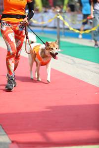 BIB: 
                            <button type="button" onclick="openModal(7360845)" class="btn btn-primary btn-sm float-right btn-popup" data-toggle="modal" data-target=".modal-high-quality">
                        <i class="fas fa-shopping-cart"></i> Add to Cart
                    </button>
                                            <button type="button" onclick="isThisMe(7360845, true)" class="btn btn-success btn-sm float-right btn-popup btn-isme hidden" data-toggle="tooltip" data-placement="bottom" title="นี่คือรูปของคุณใช่ไหม คลิกที่นี่เพื่อเอาเข้าอัลบั้ม">
                        <i class="fas fa-plus"></i> Add to album
                    </button>
                    <button type="button" onclick="isThisMe(7360845, false)" class="btn btn-warning btn-sm float-right btn-popup btn-isnotme hidden">
                        <i class="fas fa-ban"></i> Remove from album
                    </button>