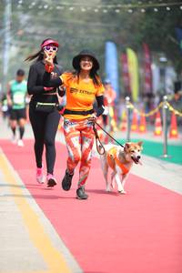 BIB: 
                            <button type="button" onclick="openModal(7360983)" class="btn btn-primary btn-sm float-right btn-popup" data-toggle="modal" data-target=".modal-high-quality">
                        <i class="fas fa-shopping-cart"></i> Add to Cart
                    </button>
                                            <button type="button" onclick="isThisMe(7360983, true)" class="btn btn-success btn-sm float-right btn-popup btn-isme hidden" data-toggle="tooltip" data-placement="bottom" title="นี่คือรูปของคุณใช่ไหม คลิกที่นี่เพื่อเอาเข้าอัลบั้ม">
                        <i class="fas fa-plus"></i> Add to album
                    </button>
                    <button type="button" onclick="isThisMe(7360983, false)" class="btn btn-warning btn-sm float-right btn-popup btn-isnotme hidden">
                        <i class="fas fa-ban"></i> Remove from album
                    </button>