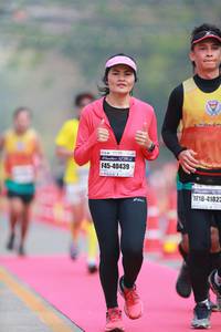 BIB: 40439, 41823, 
                            <button type="button" onclick="openModal(7764482)" class="btn btn-primary btn-sm float-right btn-popup" data-toggle="modal" data-target=".modal-high-quality">
                        <i class="fas fa-shopping-cart"></i> Add to Cart
                    </button>
                                            <button type="button" onclick="isThisMe(7764482, true)" class="btn btn-success btn-sm float-right btn-popup btn-isme hidden" data-toggle="tooltip" data-placement="bottom" title="นี่คือรูปของคุณใช่ไหม คลิกที่นี่เพื่อเอาเข้าอัลบั้ม">
                        <i class="fas fa-plus"></i> Add to album
                    </button>
                    <button type="button" onclick="isThisMe(7764482, false)" class="btn btn-warning btn-sm float-right btn-popup btn-isnotme hidden">
                        <i class="fas fa-ban"></i> Remove from album
                    </button>