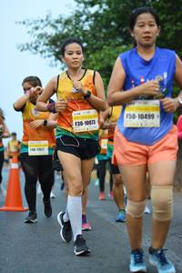 BIB: 10499, 10073, 1027
                            <button type="button" onclick="openModal(8105141)" class="btn btn-primary btn-sm float-right btn-popup" data-toggle="modal" data-target=".modal-high-quality">
                        <i class="fas fa-shopping-cart"></i> Add to Cart
                    </button>
                                            <button type="button" onclick="isThisMe(8105141, true)" class="btn btn-success btn-sm float-right btn-popup btn-isme hidden" data-toggle="tooltip" data-placement="bottom" title="นี่คือรูปของคุณใช่ไหม คลิกที่นี่เพื่อเอาเข้าอัลบั้ม">
                        <i class="fas fa-plus"></i> Add to album
                    </button>
                    <button type="button" onclick="isThisMe(8105141, false)" class="btn btn-warning btn-sm float-right btn-popup btn-isnotme hidden">
                        <i class="fas fa-ban"></i> Remove from album
                    </button>