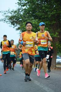 BIB: 11804
                            <button type="button" onclick="openModal(8149936)" class="btn btn-primary btn-sm float-right btn-popup" data-toggle="modal" data-target=".modal-high-quality">
                        <i class="fas fa-shopping-cart"></i> Add to Cart
                    </button>
                                            <button type="button" onclick="isThisMe(8149936, true)" class="btn btn-success btn-sm float-right btn-popup btn-isme hidden" data-toggle="tooltip" data-placement="bottom" title="นี่คือรูปของคุณใช่ไหม คลิกที่นี่เพื่อเอาเข้าอัลบั้ม">
                        <i class="fas fa-plus"></i> Add to album
                    </button>
                    <button type="button" onclick="isThisMe(8149936, false)" class="btn btn-warning btn-sm float-right btn-popup btn-isnotme hidden">
                        <i class="fas fa-ban"></i> Remove from album
                    </button>