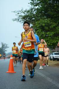 BIB: 16850
                            <button type="button" onclick="openModal(8159720)" class="btn btn-primary btn-sm float-right btn-popup" data-toggle="modal" data-target=".modal-high-quality">
                        <i class="fas fa-shopping-cart"></i> Add to Cart
                    </button>
                                            <button type="button" onclick="isThisMe(8159720, true)" class="btn btn-success btn-sm float-right btn-popup btn-isme hidden" data-toggle="tooltip" data-placement="bottom" title="นี่คือรูปของคุณใช่ไหม คลิกที่นี่เพื่อเอาเข้าอัลบั้ม">
                        <i class="fas fa-plus"></i> Add to album
                    </button>
                    <button type="button" onclick="isThisMe(8159720, false)" class="btn btn-warning btn-sm float-right btn-popup btn-isnotme hidden">
                        <i class="fas fa-ban"></i> Remove from album
                    </button>
