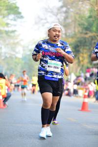 BIB: 41795
                            <button type="button" onclick="openModal(7843607)" class="btn btn-primary btn-sm float-right btn-popup" data-toggle="modal" data-target=".modal-high-quality">
                        <i class="fas fa-shopping-cart"></i> Add to Cart
                    </button>
                                            <button type="button" onclick="isThisMe(7843607, true)" class="btn btn-success btn-sm float-right btn-popup btn-isme hidden" data-toggle="tooltip" data-placement="bottom" title="นี่คือรูปของคุณใช่ไหม คลิกที่นี่เพื่อเอาเข้าอัลบั้ม">
                        <i class="fas fa-plus"></i> Add to album
                    </button>
                    <button type="button" onclick="isThisMe(7843607, false)" class="btn btn-warning btn-sm float-right btn-popup btn-isnotme hidden">
                        <i class="fas fa-ban"></i> Remove from album
                    </button>