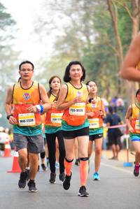 BIB: 45777
                            <button type="button" onclick="openModal(7994858)" class="btn btn-primary btn-sm float-right btn-popup" data-toggle="modal" data-target=".modal-high-quality">
                        <i class="fas fa-shopping-cart"></i> Add to Cart
                    </button>
                                            <button type="button" onclick="isThisMe(7994858, true)" class="btn btn-success btn-sm float-right btn-popup btn-isme hidden" data-toggle="tooltip" data-placement="bottom" title="นี่คือรูปของคุณใช่ไหม คลิกที่นี่เพื่อเอาเข้าอัลบั้ม">
                        <i class="fas fa-plus"></i> Add to album
                    </button>
                    <button type="button" onclick="isThisMe(7994858, false)" class="btn btn-warning btn-sm float-right btn-popup btn-isnotme hidden">
                        <i class="fas fa-ban"></i> Remove from album
                    </button>