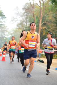 BIB: 2461, 41755, 41497
                            <button type="button" onclick="openModal(7991885)" class="btn btn-primary btn-sm float-right btn-popup" data-toggle="modal" data-target=".modal-high-quality">
                        <i class="fas fa-shopping-cart"></i> Add to Cart
                    </button>
                                            <button type="button" onclick="isThisMe(7991885, true)" class="btn btn-success btn-sm float-right btn-popup btn-isme hidden" data-toggle="tooltip" data-placement="bottom" title="นี่คือรูปของคุณใช่ไหม คลิกที่นี่เพื่อเอาเข้าอัลบั้ม">
                        <i class="fas fa-plus"></i> Add to album
                    </button>
                    <button type="button" onclick="isThisMe(7991885, false)" class="btn btn-warning btn-sm float-right btn-popup btn-isnotme hidden">
                        <i class="fas fa-ban"></i> Remove from album
                    </button>