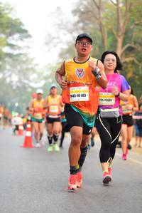 BIB: 40606
                            <button type="button" onclick="openModal(8009669)" class="btn btn-primary btn-sm float-right btn-popup" data-toggle="modal" data-target=".modal-high-quality">
                        <i class="fas fa-shopping-cart"></i> Add to Cart
                    </button>
                                            <button type="button" onclick="isThisMe(8009669, true)" class="btn btn-success btn-sm float-right btn-popup btn-isme hidden" data-toggle="tooltip" data-placement="bottom" title="นี่คือรูปของคุณใช่ไหม คลิกที่นี่เพื่อเอาเข้าอัลบั้ม">
                        <i class="fas fa-plus"></i> Add to album
                    </button>
                    <button type="button" onclick="isThisMe(8009669, false)" class="btn btn-warning btn-sm float-right btn-popup btn-isnotme hidden">
                        <i class="fas fa-ban"></i> Remove from album
                    </button>