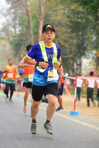 BIB: 42514
                            <button type="button" onclick="openModal(8637276)" class="btn btn-primary btn-sm float-right btn-popup" data-toggle="modal" data-target=".modal-high-quality">
                        <i class="fas fa-shopping-cart"></i> Add to Cart
                    </button>
                                            <button type="button" onclick="isThisMe(8637276, true)" class="btn btn-success btn-sm float-right btn-popup btn-isme hidden" data-toggle="tooltip" data-placement="bottom" title="นี่คือรูปของคุณใช่ไหม คลิกที่นี่เพื่อเอาเข้าอัลบั้ม">
                        <i class="fas fa-plus"></i> Add to album
                    </button>
                    <button type="button" onclick="isThisMe(8637276, false)" class="btn btn-warning btn-sm float-right btn-popup btn-isnotme hidden">
                        <i class="fas fa-ban"></i> Remove from album
                    </button>