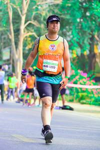BIB: 45611
                            <button type="button" onclick="openModal(8010684)" class="btn btn-primary btn-sm float-right btn-popup" data-toggle="modal" data-target=".modal-high-quality">
                        <i class="fas fa-shopping-cart"></i> Add to Cart
                    </button>
                                            <button type="button" onclick="isThisMe(8010684, true)" class="btn btn-success btn-sm float-right btn-popup btn-isme hidden" data-toggle="tooltip" data-placement="bottom" title="นี่คือรูปของคุณใช่ไหม คลิกที่นี่เพื่อเอาเข้าอัลบั้ม">
                        <i class="fas fa-plus"></i> Add to album
                    </button>
                    <button type="button" onclick="isThisMe(8010684, false)" class="btn btn-warning btn-sm float-right btn-popup btn-isnotme hidden">
                        <i class="fas fa-ban"></i> Remove from album
                    </button>