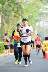 BIB: 45546
                            <button type="button" onclick="openModal(8544182)" class="btn btn-primary btn-sm float-right btn-popup" data-toggle="modal" data-target=".modal-high-quality">
                        <i class="fas fa-shopping-cart"></i> Add to Cart
                    </button>
                                            <button type="button" onclick="isThisMe(8544182, true)" class="btn btn-success btn-sm float-right btn-popup btn-isme hidden" data-toggle="tooltip" data-placement="bottom" title="นี่คือรูปของคุณใช่ไหม คลิกที่นี่เพื่อเอาเข้าอัลบั้ม">
                        <i class="fas fa-plus"></i> Add to album
                    </button>
                    <button type="button" onclick="isThisMe(8544182, false)" class="btn btn-warning btn-sm float-right btn-popup btn-isnotme hidden">
                        <i class="fas fa-ban"></i> Remove from album
                    </button>