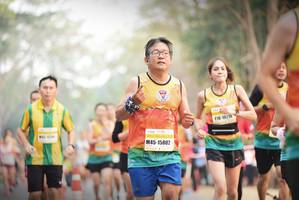 BIB: 45214
                            <button type="button" onclick="openModal(8027989)" class="btn btn-primary btn-sm float-right btn-popup" data-toggle="modal" data-target=".modal-high-quality">
                        <i class="fas fa-shopping-cart"></i> Add to Cart
                    </button>
                                            <button type="button" onclick="isThisMe(8027989, true)" class="btn btn-success btn-sm float-right btn-popup btn-isme hidden" data-toggle="tooltip" data-placement="bottom" title="นี่คือรูปของคุณใช่ไหม คลิกที่นี่เพื่อเอาเข้าอัลบั้ม">
                        <i class="fas fa-plus"></i> Add to album
                    </button>
                    <button type="button" onclick="isThisMe(8027989, false)" class="btn btn-warning btn-sm float-right btn-popup btn-isnotme hidden">
                        <i class="fas fa-ban"></i> Remove from album
                    </button>