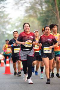 BIB: 48372
                            <button type="button" onclick="openModal(8648996)" class="btn btn-primary btn-sm float-right btn-popup" data-toggle="modal" data-target=".modal-high-quality">
                        <i class="fas fa-shopping-cart"></i> Add to Cart
                    </button>
                                            <button type="button" onclick="isThisMe(8648996, true)" class="btn btn-success btn-sm float-right btn-popup btn-isme hidden" data-toggle="tooltip" data-placement="bottom" title="นี่คือรูปของคุณใช่ไหม คลิกที่นี่เพื่อเอาเข้าอัลบั้ม">
                        <i class="fas fa-plus"></i> Add to album
                    </button>
                    <button type="button" onclick="isThisMe(8648996, false)" class="btn btn-warning btn-sm float-right btn-popup btn-isnotme hidden">
                        <i class="fas fa-ban"></i> Remove from album
                    </button>