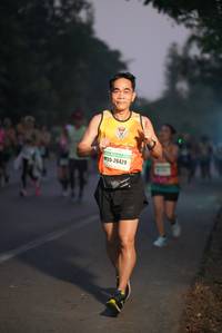 BIB: 26429
                            <button type="button" onclick="openModal(8915250)" class="btn btn-primary btn-sm float-right btn-popup" data-toggle="modal" data-target=".modal-high-quality">
                        <i class="fas fa-shopping-cart"></i> Add to Cart
                    </button>
                                            <button type="button" onclick="isThisMe(8915250, true)" class="btn btn-success btn-sm float-right btn-popup btn-isme hidden" data-toggle="tooltip" data-placement="bottom" title="นี่คือรูปของคุณใช่ไหม คลิกที่นี่เพื่อเอาเข้าอัลบั้ม">
                        <i class="fas fa-plus"></i> Add to album
                    </button>
                    <button type="button" onclick="isThisMe(8915250, false)" class="btn btn-warning btn-sm float-right btn-popup btn-isnotme hidden">
                        <i class="fas fa-ban"></i> Remove from album
                    </button>