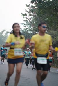 BIB: 
                            <button type="button" onclick="openModal(8938258)" class="btn btn-primary btn-sm float-right btn-popup" data-toggle="modal" data-target=".modal-high-quality">
                        <i class="fas fa-shopping-cart"></i> Add to Cart
                    </button>
                                            <button type="button" onclick="isThisMe(8938258, true)" class="btn btn-success btn-sm float-right btn-popup btn-isme hidden" data-toggle="tooltip" data-placement="bottom" title="นี่คือรูปของคุณใช่ไหม คลิกที่นี่เพื่อเอาเข้าอัลบั้ม">
                        <i class="fas fa-plus"></i> Add to album
                    </button>
                    <button type="button" onclick="isThisMe(8938258, false)" class="btn btn-warning btn-sm float-right btn-popup btn-isnotme hidden">
                        <i class="fas fa-ban"></i> Remove from album
                    </button>