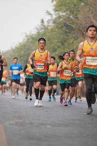 BIB: 4585
                            <button type="button" onclick="openModal(7895796)" class="btn btn-primary btn-sm float-right btn-popup" data-toggle="modal" data-target=".modal-high-quality">
                        <i class="fas fa-shopping-cart"></i> Add to Cart
                    </button>
                                            <button type="button" onclick="isThisMe(7895796, true)" class="btn btn-success btn-sm float-right btn-popup btn-isme hidden" data-toggle="tooltip" data-placement="bottom" title="นี่คือรูปของคุณใช่ไหม คลิกที่นี่เพื่อเอาเข้าอัลบั้ม">
                        <i class="fas fa-plus"></i> Add to album
                    </button>
                    <button type="button" onclick="isThisMe(7895796, false)" class="btn btn-warning btn-sm float-right btn-popup btn-isnotme hidden">
                        <i class="fas fa-ban"></i> Remove from album
                    </button>
