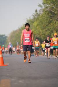 BIB: 
                            <button type="button" onclick="openModal(8356316)" class="btn btn-primary btn-sm float-right btn-popup" data-toggle="modal" data-target=".modal-high-quality">
                        <i class="fas fa-shopping-cart"></i> Add to Cart
                    </button>
                                            <button type="button" onclick="isThisMe(8356316, true)" class="btn btn-success btn-sm float-right btn-popup btn-isme hidden" data-toggle="tooltip" data-placement="bottom" title="นี่คือรูปของคุณใช่ไหม คลิกที่นี่เพื่อเอาเข้าอัลบั้ม">
                        <i class="fas fa-plus"></i> Add to album
                    </button>
                    <button type="button" onclick="isThisMe(8356316, false)" class="btn btn-warning btn-sm float-right btn-popup btn-isnotme hidden">
                        <i class="fas fa-ban"></i> Remove from album
                    </button>
