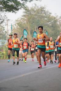 BIB: 215, 45680
                            <button type="button" onclick="openModal(7883320)" class="btn btn-primary btn-sm float-right btn-popup" data-toggle="modal" data-target=".modal-high-quality">
                        <i class="fas fa-shopping-cart"></i> Add to Cart
                    </button>
                                            <button type="button" onclick="isThisMe(7883320, true)" class="btn btn-success btn-sm float-right btn-popup btn-isme hidden" data-toggle="tooltip" data-placement="bottom" title="นี่คือรูปของคุณใช่ไหม คลิกที่นี่เพื่อเอาเข้าอัลบั้ม">
                        <i class="fas fa-plus"></i> Add to album
                    </button>
                    <button type="button" onclick="isThisMe(7883320, false)" class="btn btn-warning btn-sm float-right btn-popup btn-isnotme hidden">
                        <i class="fas fa-ban"></i> Remove from album
                    </button>