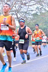 BIB: 41797, 26614
                            <button type="button" onclick="openModal(7819649)" class="btn btn-primary btn-sm float-right btn-popup" data-toggle="modal" data-target=".modal-high-quality">
                        <i class="fas fa-shopping-cart"></i> Add to Cart
                    </button>
                                            <button type="button" onclick="isThisMe(7819649, true)" class="btn btn-success btn-sm float-right btn-popup btn-isme hidden" data-toggle="tooltip" data-placement="bottom" title="นี่คือรูปของคุณใช่ไหม คลิกที่นี่เพื่อเอาเข้าอัลบั้ม">
                        <i class="fas fa-plus"></i> Add to album
                    </button>
                    <button type="button" onclick="isThisMe(7819649, false)" class="btn btn-warning btn-sm float-right btn-popup btn-isnotme hidden">
                        <i class="fas fa-ban"></i> Remove from album
                    </button>