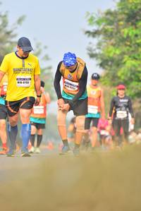 BIB: 41257, 47155
                            <button type="button" onclick="openModal(8069877)" class="btn btn-primary btn-sm float-right btn-popup" data-toggle="modal" data-target=".modal-high-quality">
                        <i class="fas fa-shopping-cart"></i> Add to Cart
                    </button>
                                            <button type="button" onclick="isThisMe(8069877, true)" class="btn btn-success btn-sm float-right btn-popup btn-isme hidden" data-toggle="tooltip" data-placement="bottom" title="นี่คือรูปของคุณใช่ไหม คลิกที่นี่เพื่อเอาเข้าอัลบั้ม">
                        <i class="fas fa-plus"></i> Add to album
                    </button>
                    <button type="button" onclick="isThisMe(8069877, false)" class="btn btn-warning btn-sm float-right btn-popup btn-isnotme hidden">
                        <i class="fas fa-ban"></i> Remove from album
                    </button>