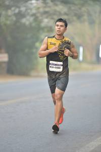 BIB: 41980
                            <button type="button" onclick="openModal(7849121)" class="btn btn-primary btn-sm float-right btn-popup" data-toggle="modal" data-target=".modal-high-quality">
                        <i class="fas fa-shopping-cart"></i> Add to Cart
                    </button>
                                            <button type="button" onclick="isThisMe(7849121, true)" class="btn btn-success btn-sm float-right btn-popup btn-isme hidden" data-toggle="tooltip" data-placement="bottom" title="นี่คือรูปของคุณใช่ไหม คลิกที่นี่เพื่อเอาเข้าอัลบั้ม">
                        <i class="fas fa-plus"></i> Add to album
                    </button>
                    <button type="button" onclick="isThisMe(7849121, false)" class="btn btn-warning btn-sm float-right btn-popup btn-isnotme hidden">
                        <i class="fas fa-ban"></i> Remove from album
                    </button>