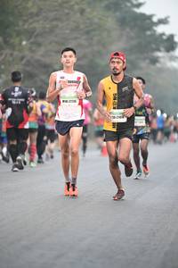 BIB: 2736, 21476
                            <button type="button" onclick="openModal(8076011)" class="btn btn-primary btn-sm float-right btn-popup" data-toggle="modal" data-target=".modal-high-quality">
                        <i class="fas fa-shopping-cart"></i> Add to Cart
                    </button>
                                            <button type="button" onclick="isThisMe(8076011, true)" class="btn btn-success btn-sm float-right btn-popup btn-isme hidden" data-toggle="tooltip" data-placement="bottom" title="นี่คือรูปของคุณใช่ไหม คลิกที่นี่เพื่อเอาเข้าอัลบั้ม">
                        <i class="fas fa-plus"></i> Add to album
                    </button>
                    <button type="button" onclick="isThisMe(8076011, false)" class="btn btn-warning btn-sm float-right btn-popup btn-isnotme hidden">
                        <i class="fas fa-ban"></i> Remove from album
                    </button>