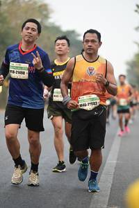 BIB: 21498, 21983
                            <button type="button" onclick="openModal(8265699)" class="btn btn-primary btn-sm float-right btn-popup" data-toggle="modal" data-target=".modal-high-quality">
                        <i class="fas fa-shopping-cart"></i> Add to Cart
                    </button>
                                            <button type="button" onclick="isThisMe(8265699, true)" class="btn btn-success btn-sm float-right btn-popup btn-isme hidden" data-toggle="tooltip" data-placement="bottom" title="นี่คือรูปของคุณใช่ไหม คลิกที่นี่เพื่อเอาเข้าอัลบั้ม">
                        <i class="fas fa-plus"></i> Add to album
                    </button>
                    <button type="button" onclick="isThisMe(8265699, false)" class="btn btn-warning btn-sm float-right btn-popup btn-isnotme hidden">
                        <i class="fas fa-ban"></i> Remove from album
                    </button>
