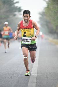 BIB: 45354
                            <button type="button" onclick="openModal(8077123)" class="btn btn-primary btn-sm float-right btn-popup" data-toggle="modal" data-target=".modal-high-quality">
                        <i class="fas fa-shopping-cart"></i> Add to Cart
                    </button>
                                            <button type="button" onclick="isThisMe(8077123, true)" class="btn btn-success btn-sm float-right btn-popup btn-isme hidden" data-toggle="tooltip" data-placement="bottom" title="นี่คือรูปของคุณใช่ไหม คลิกที่นี่เพื่อเอาเข้าอัลบั้ม">
                        <i class="fas fa-plus"></i> Add to album
                    </button>
                    <button type="button" onclick="isThisMe(8077123, false)" class="btn btn-warning btn-sm float-right btn-popup btn-isnotme hidden">
                        <i class="fas fa-ban"></i> Remove from album
                    </button>