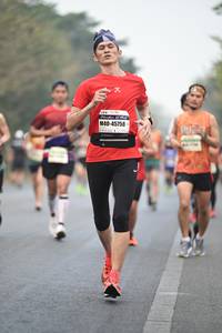BIB: 45758
                            <button type="button" onclick="openModal(8262249)" class="btn btn-primary btn-sm float-right btn-popup" data-toggle="modal" data-target=".modal-high-quality">
                        <i class="fas fa-shopping-cart"></i> Add to Cart
                    </button>
                                            <button type="button" onclick="isThisMe(8262249, true)" class="btn btn-success btn-sm float-right btn-popup btn-isme hidden" data-toggle="tooltip" data-placement="bottom" title="นี่คือรูปของคุณใช่ไหม คลิกที่นี่เพื่อเอาเข้าอัลบั้ม">
                        <i class="fas fa-plus"></i> Add to album
                    </button>
                    <button type="button" onclick="isThisMe(8262249, false)" class="btn btn-warning btn-sm float-right btn-popup btn-isnotme hidden">
                        <i class="fas fa-ban"></i> Remove from album
                    </button>