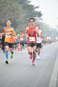 BIB: 141259
                            <button type="button" onclick="openModal(8076905)" class="btn btn-primary btn-sm float-right btn-popup" data-toggle="modal" data-target=".modal-high-quality">
                        <i class="fas fa-shopping-cart"></i> Add to Cart
                    </button>
                                            <button type="button" onclick="isThisMe(8076905, true)" class="btn btn-success btn-sm float-right btn-popup btn-isme hidden" data-toggle="tooltip" data-placement="bottom" title="นี่คือรูปของคุณใช่ไหม คลิกที่นี่เพื่อเอาเข้าอัลบั้ม">
                        <i class="fas fa-plus"></i> Add to album
                    </button>
                    <button type="button" onclick="isThisMe(8076905, false)" class="btn btn-warning btn-sm float-right btn-popup btn-isnotme hidden">
                        <i class="fas fa-ban"></i> Remove from album
                    </button>