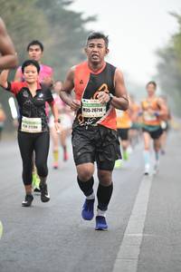 BIB: 26714
                            <button type="button" onclick="openModal(8246475)" class="btn btn-primary btn-sm float-right btn-popup" data-toggle="modal" data-target=".modal-high-quality">
                        <i class="fas fa-shopping-cart"></i> Add to Cart
                    </button>
                                            <button type="button" onclick="isThisMe(8246475, true)" class="btn btn-success btn-sm float-right btn-popup btn-isme hidden" data-toggle="tooltip" data-placement="bottom" title="นี่คือรูปของคุณใช่ไหม คลิกที่นี่เพื่อเอาเข้าอัลบั้ม">
                        <i class="fas fa-plus"></i> Add to album
                    </button>
                    <button type="button" onclick="isThisMe(8246475, false)" class="btn btn-warning btn-sm float-right btn-popup btn-isnotme hidden">
                        <i class="fas fa-ban"></i> Remove from album
                    </button>