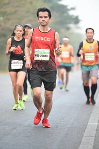 BIB: 25803
                            <button type="button" onclick="openModal(8271623)" class="btn btn-primary btn-sm float-right btn-popup" data-toggle="modal" data-target=".modal-high-quality">
                        <i class="fas fa-shopping-cart"></i> Add to Cart
                    </button>
                                            <button type="button" onclick="isThisMe(8271623, true)" class="btn btn-success btn-sm float-right btn-popup btn-isme hidden" data-toggle="tooltip" data-placement="bottom" title="นี่คือรูปของคุณใช่ไหม คลิกที่นี่เพื่อเอาเข้าอัลบั้ม">
                        <i class="fas fa-plus"></i> Add to album
                    </button>
                    <button type="button" onclick="isThisMe(8271623, false)" class="btn btn-warning btn-sm float-right btn-popup btn-isnotme hidden">
                        <i class="fas fa-ban"></i> Remove from album
                    </button>