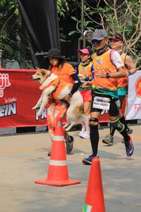 BIB: 40803
                            <button type="button" onclick="openModal(7405150)" class="btn btn-primary btn-sm float-right btn-popup" data-toggle="modal" data-target=".modal-high-quality">
                        <i class="fas fa-shopping-cart"></i> Add to Cart
                    </button>
                                            <button type="button" onclick="isThisMe(7405150, true)" class="btn btn-success btn-sm float-right btn-popup btn-isme hidden" data-toggle="tooltip" data-placement="bottom" title="นี่คือรูปของคุณใช่ไหม คลิกที่นี่เพื่อเอาเข้าอัลบั้ม">
                        <i class="fas fa-plus"></i> Add to album
                    </button>
                    <button type="button" onclick="isThisMe(7405150, false)" class="btn btn-warning btn-sm float-right btn-popup btn-isnotme hidden">
                        <i class="fas fa-ban"></i> Remove from album
                    </button>