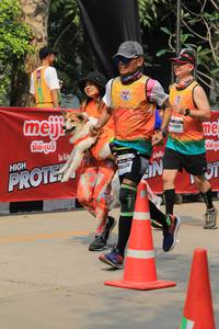 BIB: 
                            <button type="button" onclick="openModal(7405162)" class="btn btn-primary btn-sm float-right btn-popup" data-toggle="modal" data-target=".modal-high-quality">
                        <i class="fas fa-shopping-cart"></i> Add to Cart
                    </button>
                                            <button type="button" onclick="isThisMe(7405162, true)" class="btn btn-success btn-sm float-right btn-popup btn-isme hidden" data-toggle="tooltip" data-placement="bottom" title="นี่คือรูปของคุณใช่ไหม คลิกที่นี่เพื่อเอาเข้าอัลบั้ม">
                        <i class="fas fa-plus"></i> Add to album
                    </button>
                    <button type="button" onclick="isThisMe(7405162, false)" class="btn btn-warning btn-sm float-right btn-popup btn-isnotme hidden">
                        <i class="fas fa-ban"></i> Remove from album
                    </button>