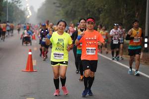 BIB: 2019, 41501, 14042277
                            <button type="button" onclick="openModal(9422603)" class="btn btn-primary btn-sm float-right btn-popup" data-toggle="modal" data-target=".modal-high-quality">
                        <i class="fas fa-shopping-cart"></i> Add to Cart
                    </button>
                                            <button type="button" onclick="isThisMe(9422603, true)" class="btn btn-success btn-sm float-right btn-popup btn-isme hidden" data-toggle="tooltip" data-placement="bottom" title="นี่คือรูปของคุณใช่ไหม คลิกที่นี่เพื่อเอาเข้าอัลบั้ม">
                        <i class="fas fa-plus"></i> Add to album
                    </button>
                    <button type="button" onclick="isThisMe(9422603, false)" class="btn btn-warning btn-sm float-right btn-popup btn-isnotme hidden">
                        <i class="fas fa-ban"></i> Remove from album
                    </button>