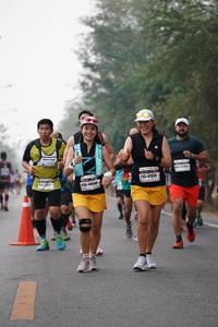 BIB: 47933, 400
                            <button type="button" onclick="openModal(9423373)" class="btn btn-primary btn-sm float-right btn-popup" data-toggle="modal" data-target=".modal-high-quality">
                        <i class="fas fa-shopping-cart"></i> Add to Cart
                    </button>
                                            <button type="button" onclick="isThisMe(9423373, true)" class="btn btn-success btn-sm float-right btn-popup btn-isme hidden" data-toggle="tooltip" data-placement="bottom" title="นี่คือรูปของคุณใช่ไหม คลิกที่นี่เพื่อเอาเข้าอัลบั้ม">
                        <i class="fas fa-plus"></i> Add to album
                    </button>
                    <button type="button" onclick="isThisMe(9423373, false)" class="btn btn-warning btn-sm float-right btn-popup btn-isnotme hidden">
                        <i class="fas fa-ban"></i> Remove from album
                    </button>