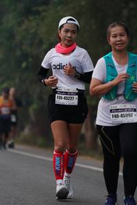 BIB: 45227, 45997
                            <button type="button" onclick="openModal(9423335)" class="btn btn-primary btn-sm float-right btn-popup" data-toggle="modal" data-target=".modal-high-quality">
                        <i class="fas fa-shopping-cart"></i> Add to Cart
                    </button>
                                            <button type="button" onclick="isThisMe(9423335, true)" class="btn btn-success btn-sm float-right btn-popup btn-isme hidden" data-toggle="tooltip" data-placement="bottom" title="นี่คือรูปของคุณใช่ไหม คลิกที่นี่เพื่อเอาเข้าอัลบั้ม">
                        <i class="fas fa-plus"></i> Add to album
                    </button>
                    <button type="button" onclick="isThisMe(9423335, false)" class="btn btn-warning btn-sm float-right btn-popup btn-isnotme hidden">
                        <i class="fas fa-ban"></i> Remove from album
                    </button>