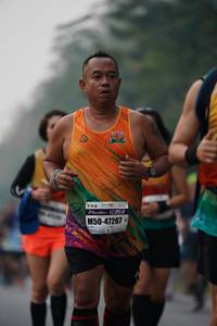 BIB: 421952, 47267
                            <button type="button" onclick="openModal(9422795)" class="btn btn-primary btn-sm float-right btn-popup" data-toggle="modal" data-target=".modal-high-quality">
                        <i class="fas fa-shopping-cart"></i> Add to Cart
                    </button>
                                            <button type="button" onclick="isThisMe(9422795, true)" class="btn btn-success btn-sm float-right btn-popup btn-isme hidden" data-toggle="tooltip" data-placement="bottom" title="นี่คือรูปของคุณใช่ไหม คลิกที่นี่เพื่อเอาเข้าอัลบั้ม">
                        <i class="fas fa-plus"></i> Add to album
                    </button>
                    <button type="button" onclick="isThisMe(9422795, false)" class="btn btn-warning btn-sm float-right btn-popup btn-isnotme hidden">
                        <i class="fas fa-ban"></i> Remove from album
                    </button>