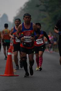 BIB: 1225, 2019, 48441
                            <button type="button" onclick="openModal(9422440)" class="btn btn-primary btn-sm float-right btn-popup" data-toggle="modal" data-target=".modal-high-quality">
                        <i class="fas fa-shopping-cart"></i> Add to Cart
                    </button>
                                            <button type="button" onclick="isThisMe(9422440, true)" class="btn btn-success btn-sm float-right btn-popup btn-isme hidden" data-toggle="tooltip" data-placement="bottom" title="นี่คือรูปของคุณใช่ไหม คลิกที่นี่เพื่อเอาเข้าอัลบั้ม">
                        <i class="fas fa-plus"></i> Add to album
                    </button>
                    <button type="button" onclick="isThisMe(9422440, false)" class="btn btn-warning btn-sm float-right btn-popup btn-isnotme hidden">
                        <i class="fas fa-ban"></i> Remove from album
                    </button>