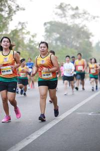 BIB: 11531, 1145
                            <button type="button" onclick="openModal(9493441)" class="btn btn-primary btn-sm float-right btn-popup" data-toggle="modal" data-target=".modal-high-quality">
                        <i class="fas fa-shopping-cart"></i> Add to Cart
                    </button>
                                            <button type="button" onclick="isThisMe(9493441, true)" class="btn btn-success btn-sm float-right btn-popup btn-isme hidden" data-toggle="tooltip" data-placement="bottom" title="นี่คือรูปของคุณใช่ไหม คลิกที่นี่เพื่อเอาเข้าอัลบั้ม">
                        <i class="fas fa-plus"></i> Add to album
                    </button>
                    <button type="button" onclick="isThisMe(9493441, false)" class="btn btn-warning btn-sm float-right btn-popup btn-isnotme hidden">
                        <i class="fas fa-ban"></i> Remove from album
                    </button>