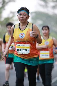 BIB: 8484, 45048
                            <button type="button" onclick="openModal(9423678)" class="btn btn-primary btn-sm float-right btn-popup" data-toggle="modal" data-target=".modal-high-quality">
                        <i class="fas fa-shopping-cart"></i> Add to Cart
                    </button>
                                            <button type="button" onclick="isThisMe(9423678, true)" class="btn btn-success btn-sm float-right btn-popup btn-isme hidden" data-toggle="tooltip" data-placement="bottom" title="นี่คือรูปของคุณใช่ไหม คลิกที่นี่เพื่อเอาเข้าอัลบั้ม">
                        <i class="fas fa-plus"></i> Add to album
                    </button>
                    <button type="button" onclick="isThisMe(9423678, false)" class="btn btn-warning btn-sm float-right btn-popup btn-isnotme hidden">
                        <i class="fas fa-ban"></i> Remove from album
                    </button>