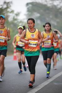 BIB: 
                            <button type="button" onclick="openModal(9440830)" class="btn btn-primary btn-sm float-right btn-popup" data-toggle="modal" data-target=".modal-high-quality">
                        <i class="fas fa-shopping-cart"></i> Add to Cart
                    </button>
                                            <button type="button" onclick="isThisMe(9440830, true)" class="btn btn-success btn-sm float-right btn-popup btn-isme hidden" data-toggle="tooltip" data-placement="bottom" title="นี่คือรูปของคุณใช่ไหม คลิกที่นี่เพื่อเอาเข้าอัลบั้ม">
                        <i class="fas fa-plus"></i> Add to album
                    </button>
                    <button type="button" onclick="isThisMe(9440830, false)" class="btn btn-warning btn-sm float-right btn-popup btn-isnotme hidden">
                        <i class="fas fa-ban"></i> Remove from album
                    </button>