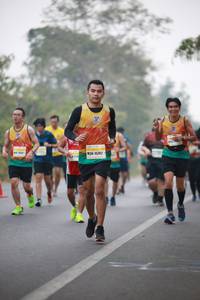 BIB: 45255
                            <button type="button" onclick="openModal(9439886)" class="btn btn-primary btn-sm float-right btn-popup" data-toggle="modal" data-target=".modal-high-quality">
                        <i class="fas fa-shopping-cart"></i> Add to Cart
                    </button>
                                            <button type="button" onclick="isThisMe(9439886, true)" class="btn btn-success btn-sm float-right btn-popup btn-isme hidden" data-toggle="tooltip" data-placement="bottom" title="นี่คือรูปของคุณใช่ไหม คลิกที่นี่เพื่อเอาเข้าอัลบั้ม">
                        <i class="fas fa-plus"></i> Add to album
                    </button>
                    <button type="button" onclick="isThisMe(9439886, false)" class="btn btn-warning btn-sm float-right btn-popup btn-isnotme hidden">
                        <i class="fas fa-ban"></i> Remove from album
                    </button>