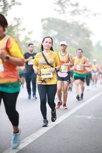 BIB: 15208
                            <button type="button" onclick="openModal(9501806)" class="btn btn-primary btn-sm float-right btn-popup" data-toggle="modal" data-target=".modal-high-quality">
                        <i class="fas fa-shopping-cart"></i> Add to Cart
                    </button>
                                            <button type="button" onclick="isThisMe(9501806, true)" class="btn btn-success btn-sm float-right btn-popup btn-isme hidden" data-toggle="tooltip" data-placement="bottom" title="นี่คือรูปของคุณใช่ไหม คลิกที่นี่เพื่อเอาเข้าอัลบั้ม">
                        <i class="fas fa-plus"></i> Add to album
                    </button>
                    <button type="button" onclick="isThisMe(9501806, false)" class="btn btn-warning btn-sm float-right btn-popup btn-isnotme hidden">
                        <i class="fas fa-ban"></i> Remove from album
                    </button>