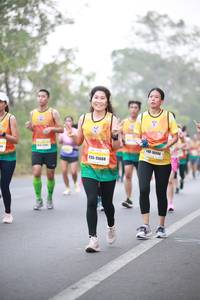 BIB: 42831
                            <button type="button" onclick="openModal(9408039)" class="btn btn-primary btn-sm float-right btn-popup" data-toggle="modal" data-target=".modal-high-quality">
                        <i class="fas fa-shopping-cart"></i> Add to Cart
                    </button>
                                            <button type="button" onclick="isThisMe(9408039, true)" class="btn btn-success btn-sm float-right btn-popup btn-isme hidden" data-toggle="tooltip" data-placement="bottom" title="นี่คือรูปของคุณใช่ไหม คลิกที่นี่เพื่อเอาเข้าอัลบั้ม">
                        <i class="fas fa-plus"></i> Add to album
                    </button>
                    <button type="button" onclick="isThisMe(9408039, false)" class="btn btn-warning btn-sm float-right btn-popup btn-isnotme hidden">
                        <i class="fas fa-ban"></i> Remove from album
                    </button>