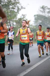 BIB: 41800
                            <button type="button" onclick="openModal(9439184)" class="btn btn-primary btn-sm float-right btn-popup" data-toggle="modal" data-target=".modal-high-quality">
                        <i class="fas fa-shopping-cart"></i> Add to Cart
                    </button>
                                            <button type="button" onclick="isThisMe(9439184, true)" class="btn btn-success btn-sm float-right btn-popup btn-isme hidden" data-toggle="tooltip" data-placement="bottom" title="นี่คือรูปของคุณใช่ไหม คลิกที่นี่เพื่อเอาเข้าอัลบั้ม">
                        <i class="fas fa-plus"></i> Add to album
                    </button>
                    <button type="button" onclick="isThisMe(9439184, false)" class="btn btn-warning btn-sm float-right btn-popup btn-isnotme hidden">
                        <i class="fas fa-ban"></i> Remove from album
                    </button>