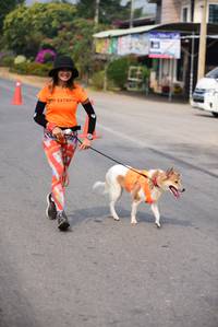 BIB: 
                            <button type="button" onclick="openModal(8674611)" class="btn btn-primary btn-sm float-right btn-popup" data-toggle="modal" data-target=".modal-high-quality">
                        <i class="fas fa-shopping-cart"></i> Add to Cart
                    </button>
                                            <button type="button" onclick="isThisMe(8674611, true)" class="btn btn-success btn-sm float-right btn-popup btn-isme hidden" data-toggle="tooltip" data-placement="bottom" title="นี่คือรูปของคุณใช่ไหม คลิกที่นี่เพื่อเอาเข้าอัลบั้ม">
                        <i class="fas fa-plus"></i> Add to album
                    </button>
                    <button type="button" onclick="isThisMe(8674611, false)" class="btn btn-warning btn-sm float-right btn-popup btn-isnotme hidden">
                        <i class="fas fa-ban"></i> Remove from album
                    </button>